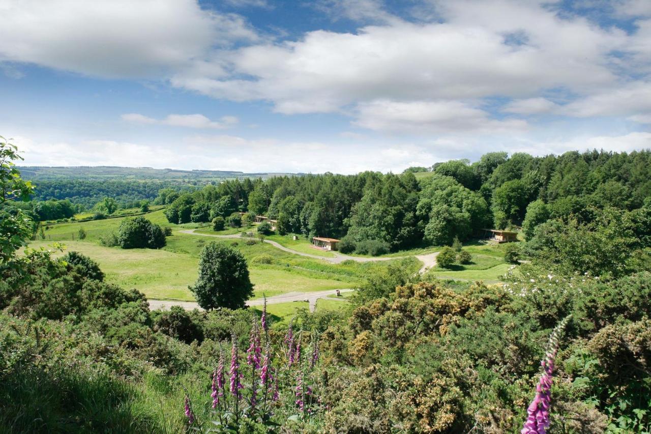 Yorkshire Dales Lodge 3 Family 3 Bed Richmond  Bagian luar foto