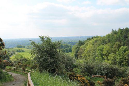 Yorkshire Dales Lodge 3 Family 3 Bed Richmond  Bagian luar foto